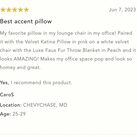 Anthropologie Tassled Perla Bird Pillow - Turquoise - Picture 8 of 14